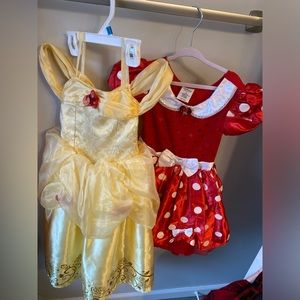 Disney Princess Dresses!